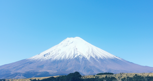 Whakapapa: The Ultimate Guide for Beginners